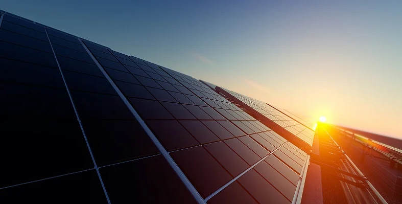 A close up of solar panels at sunrise. 