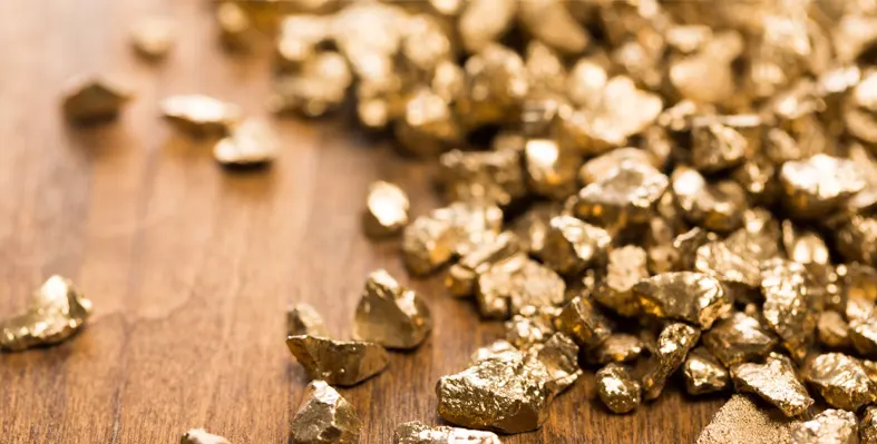 Gold nuggets mined on a wooden table