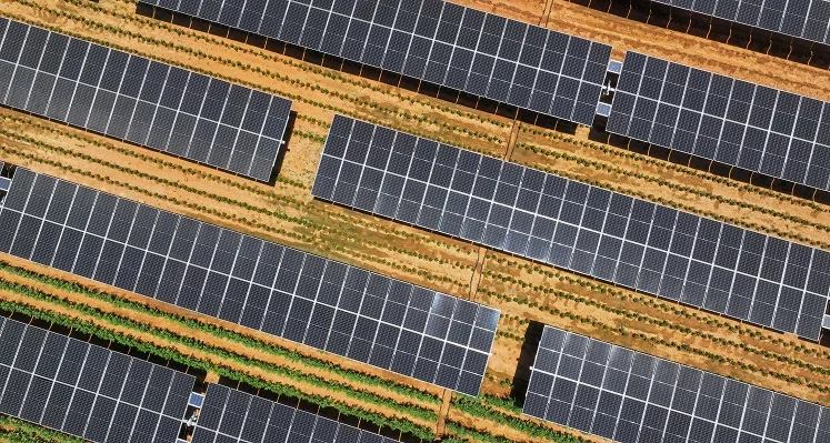 An overhead shot of a solar farm.